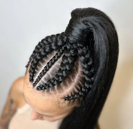 Афрохвост - от 3000